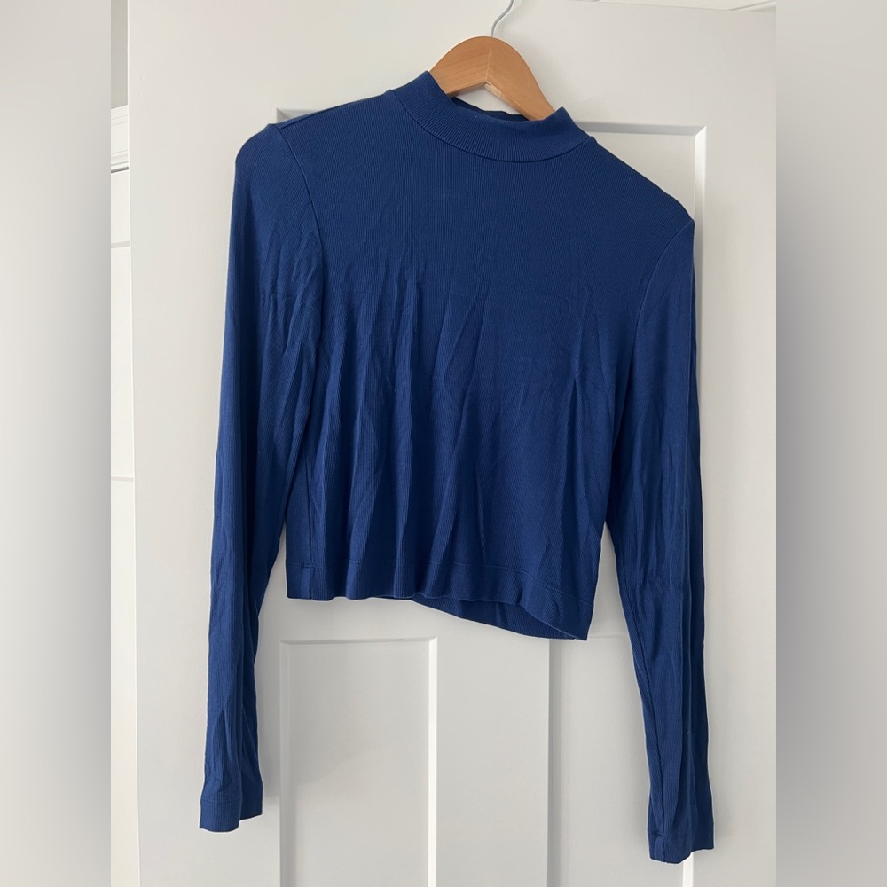 Aritzia Babaton Long Sleeve Mock Neck Ribbed Crop in Blue